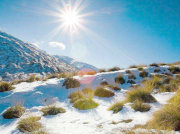 南方潛水電泵的種類有哪些？