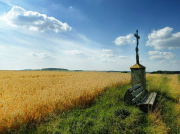 南方水泵軸承一般用的什么油？