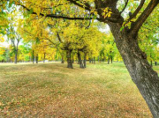 南方立式離心泵老發(fā)噪聲是什么原因？