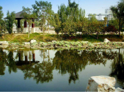 為什么現(xiàn)在南方電機(jī)比以前更容易燒壞?