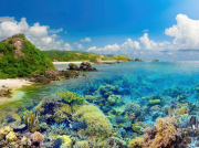 什么是化工泵？