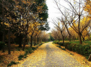 南方水泵產(chǎn)品型號(hào)簡(jiǎn)寫說明