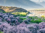 學(xué)習(xí)專(zhuān)業(yè)技術(shù),完成自我超越——南方長(zhǎng)河產(chǎn)品技術(shù)支持培訓(xùn)圓滿(mǎn)完成