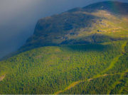 南方泵業(yè):不銹鋼泵市場正在啟動